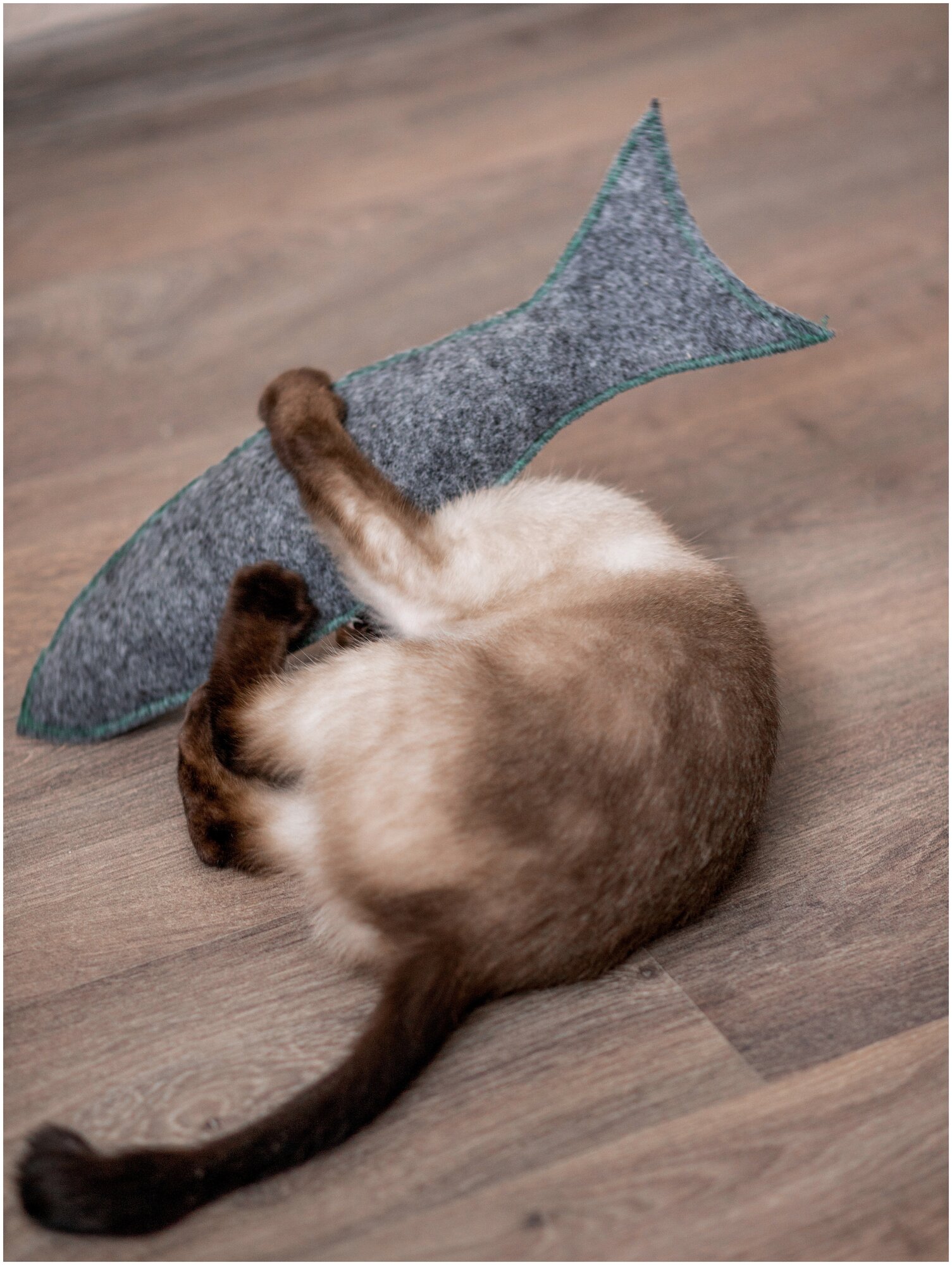 Игрушка для кошки Рыба с мятой - фотография № 9
