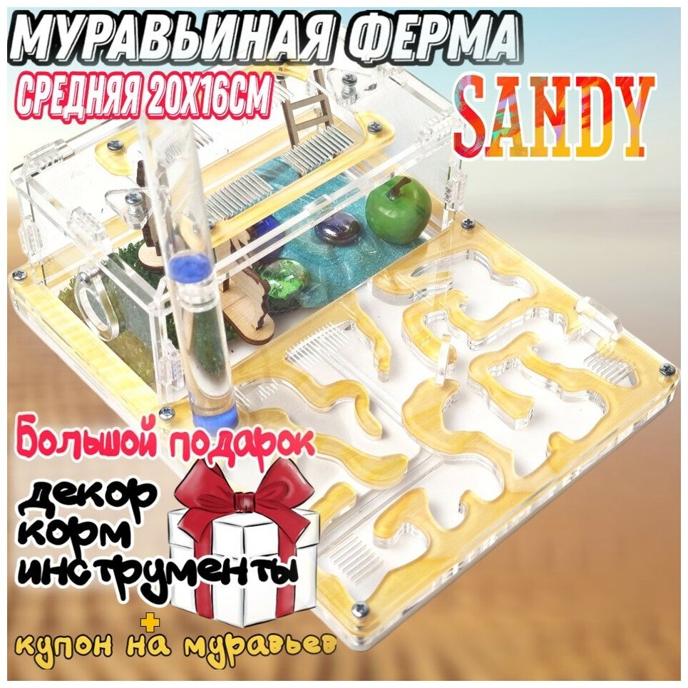 Муравьиная ферма "Sandy" средняя 20*16см Полный комплект - фотография № 1