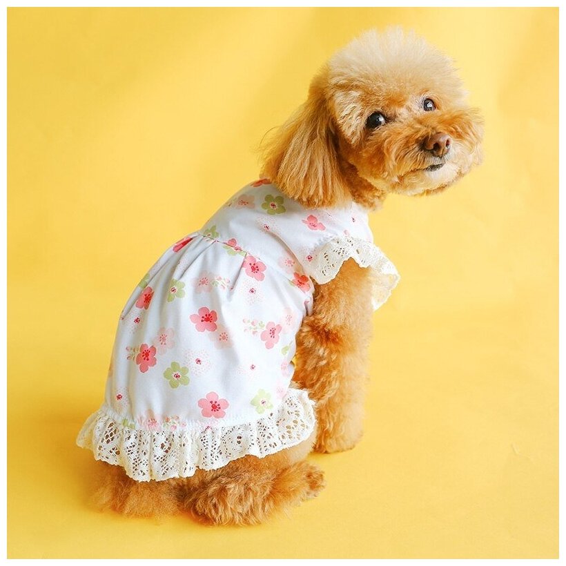 Платье для собак "Сакура" (20см девочка)