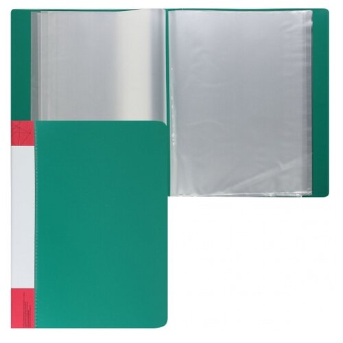 Klerk папка А4, пластик, 80 файлов, зеленый