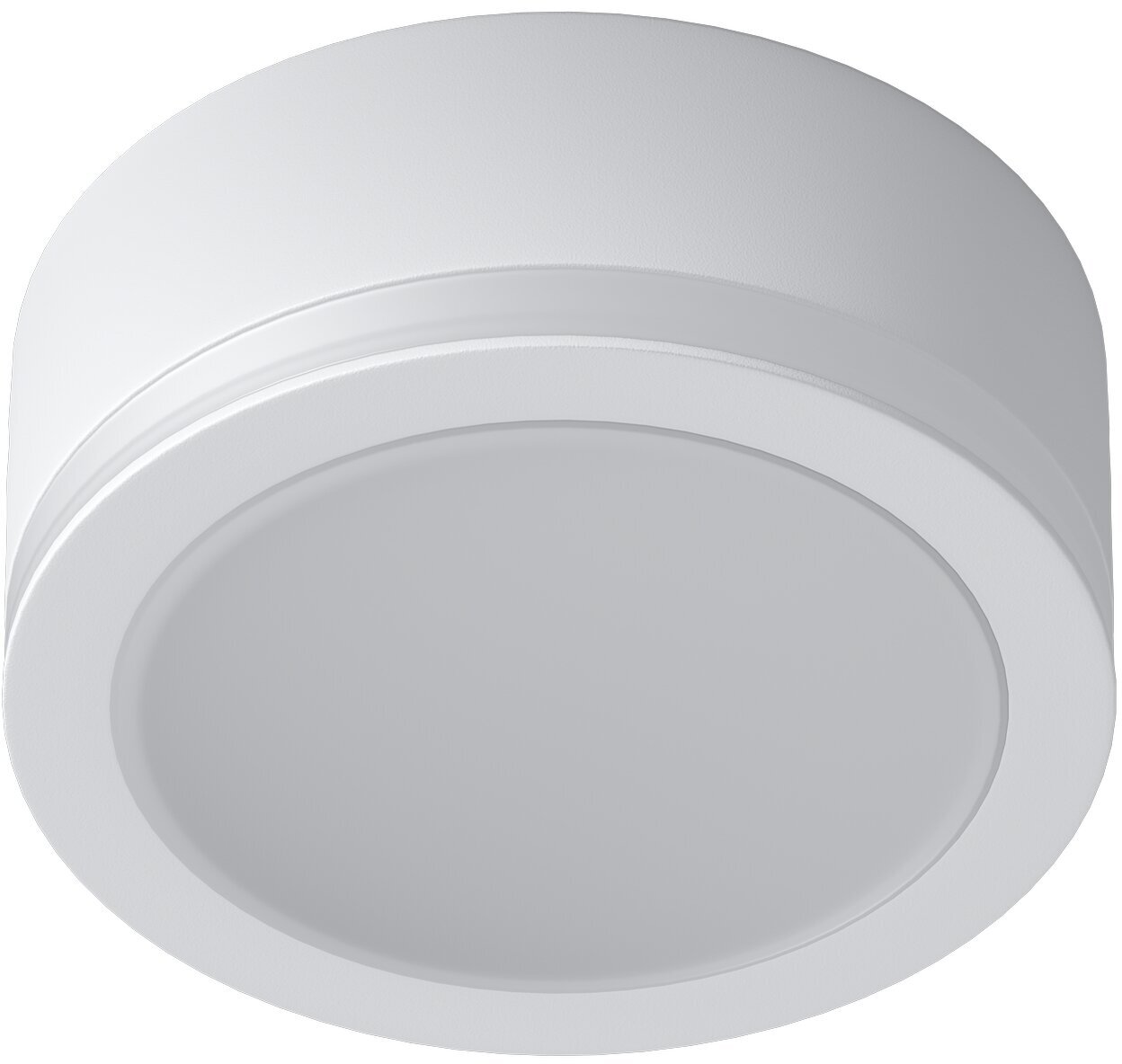 Накладной светодиодный светильник SDL10-R100-4200K White 10W