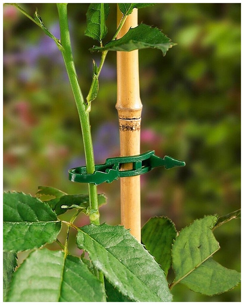 Поддержка для растений бамбуковая GREEN APPLE 75см ø 8мм набор 5 GBS-8-75