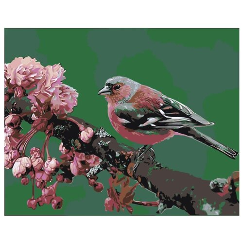 Птица на ветке Раскраска картина по номерам на холсте птица секретарь раскраска картина по номерам на холсте