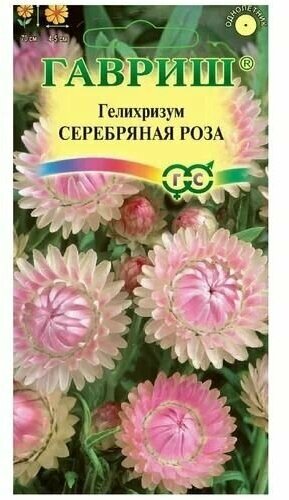 Семена. Гелихризум 