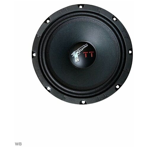 Автомобильная акустика URAL TT 200 2шт колонки 20см среднечастотные динамики эстрадные 414000₽