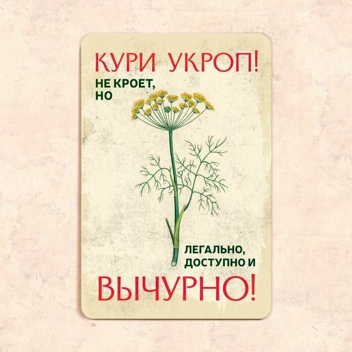 Табличка "Кури укроп! Не кроет, но легально доступно и вычурно!", 20х30 см, УФ-печать, ПВХ