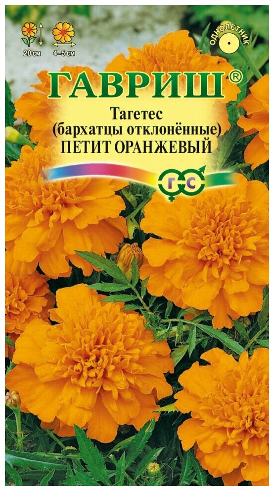Гавриш Бархатцы отклоненные Петит оранжевый (Тагетес) по 03 г