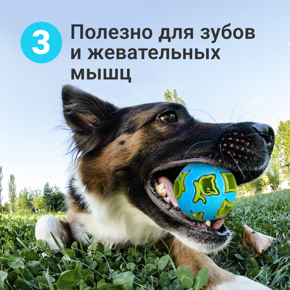 Игрушка мяч, дозирующий корм, для собак ZooWell Play с колокольчиком голубой - фотография № 5