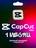 CapCut Pro | Подписка на новый аккаунт | 1 Месяца | План Pro/Про