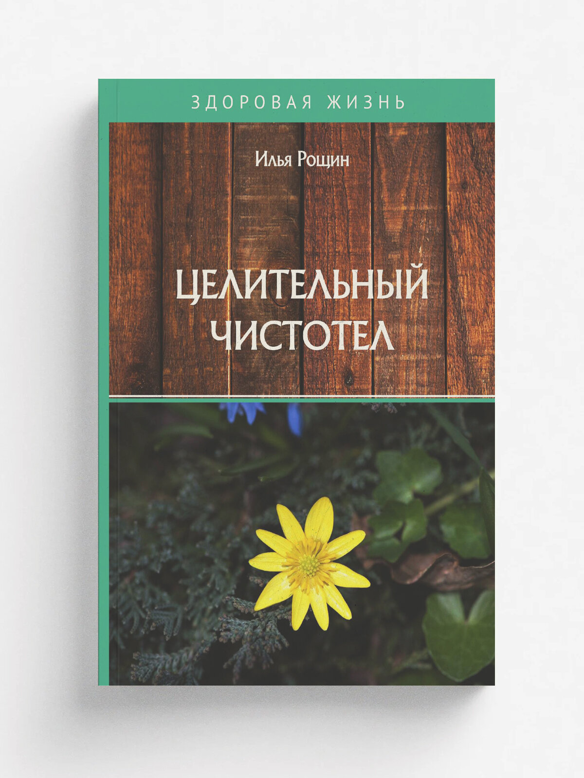 Целительный чистотел