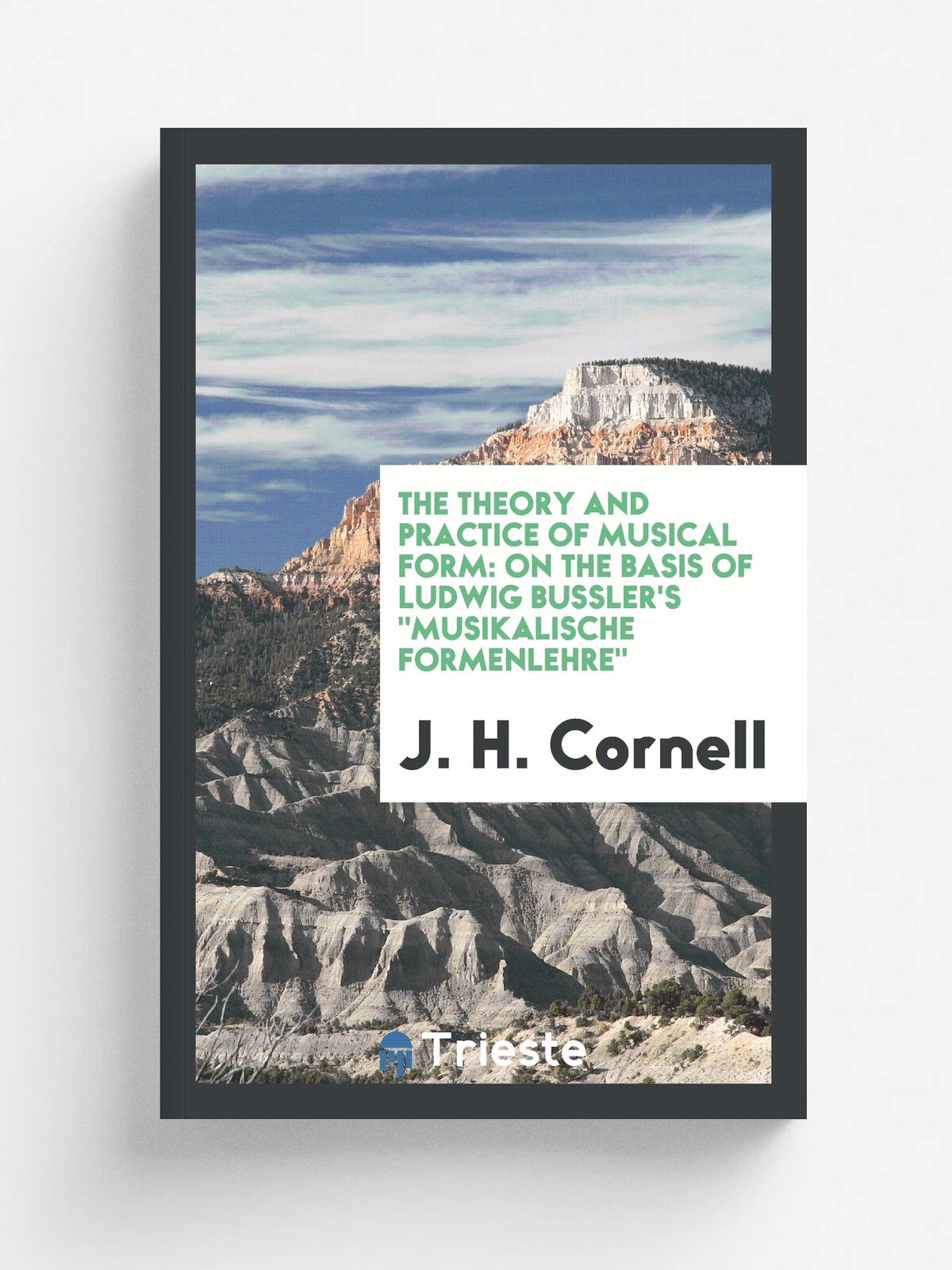 The Theory and Practice of Musical Form. On the Basis of Ludwig Bussler's .