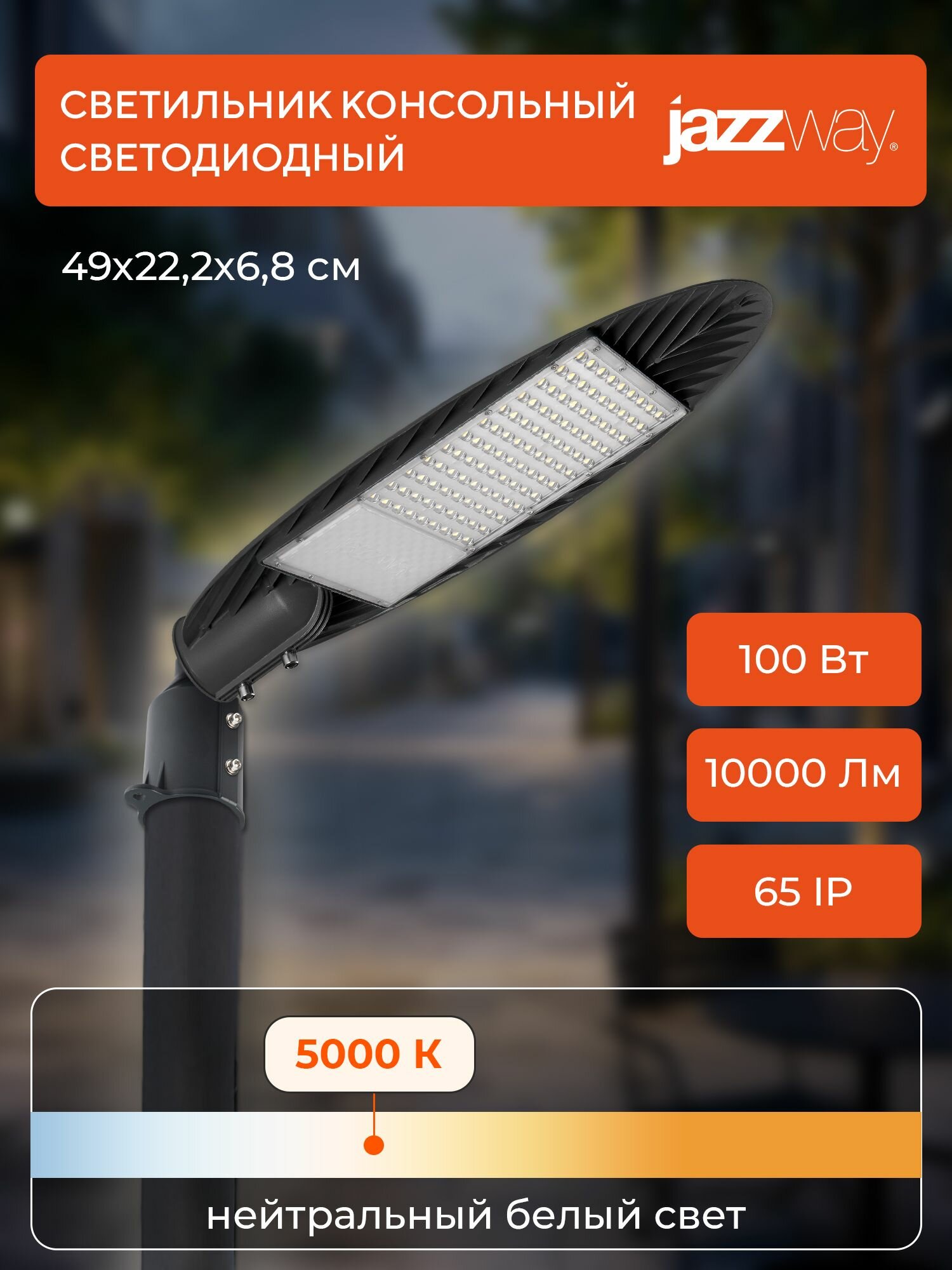 Светильник уличный консольный Jazzway PSL 03 100w 5000K