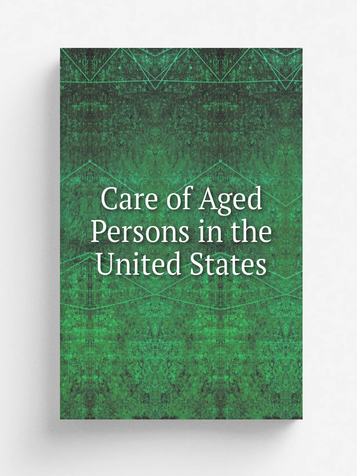 Care of Aged Persons in the United States | 1929 | United States Government Printing Office | Репринт