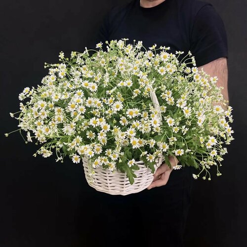 Изображение товара 25 ромашек / Композиция из 25 кустовых ромашек в корзине/ Танацетум