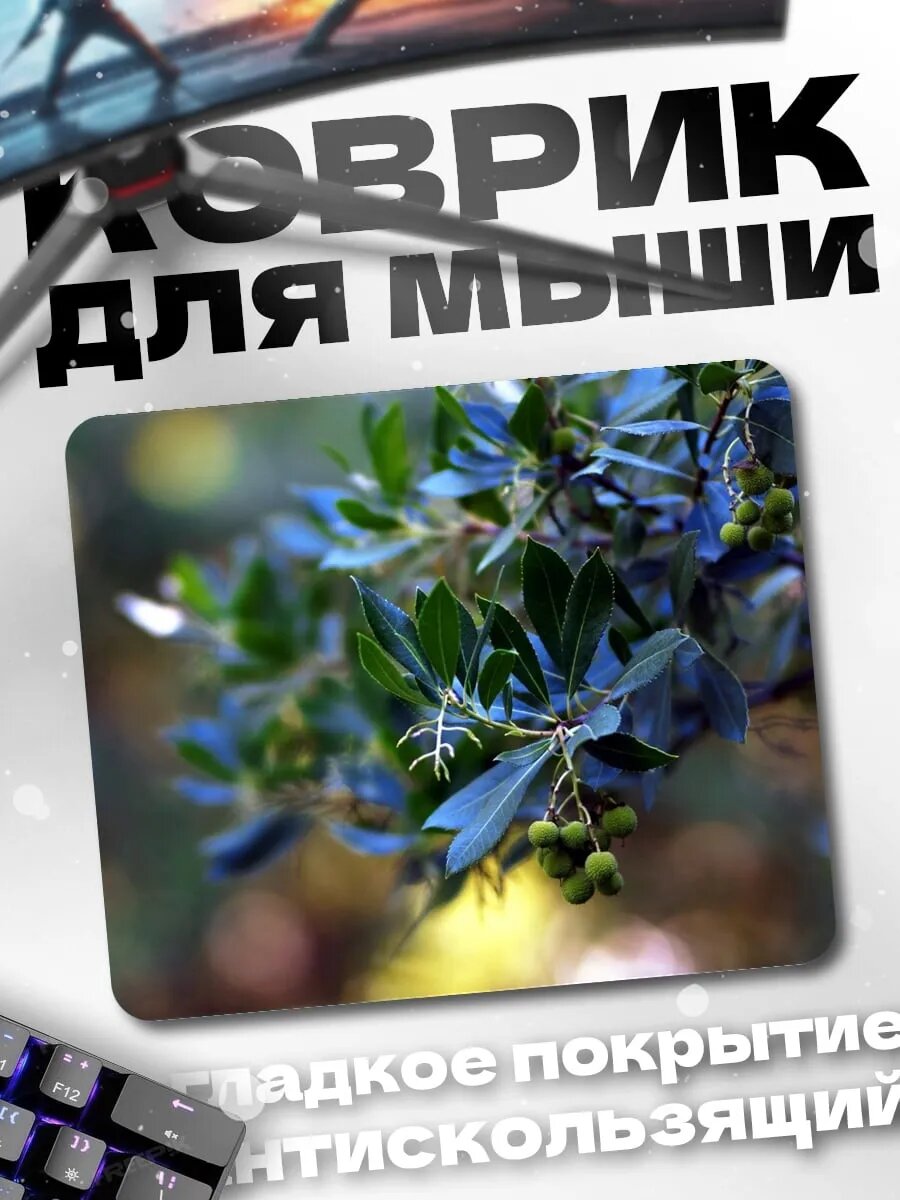 Коврик для мыши Ветка с листьями
