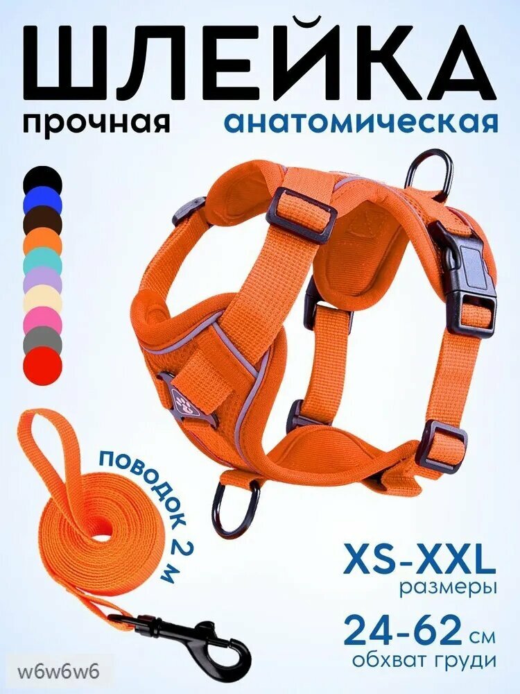Шлейка
