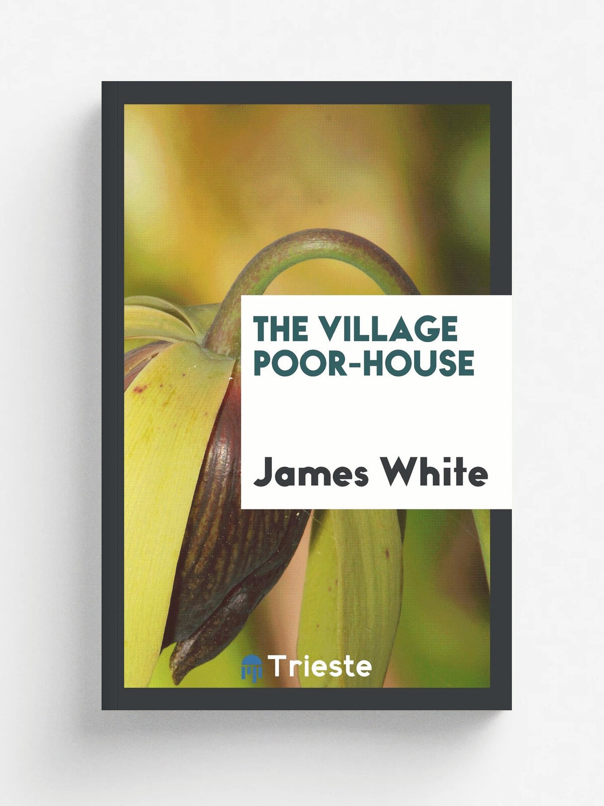 The village poor-house