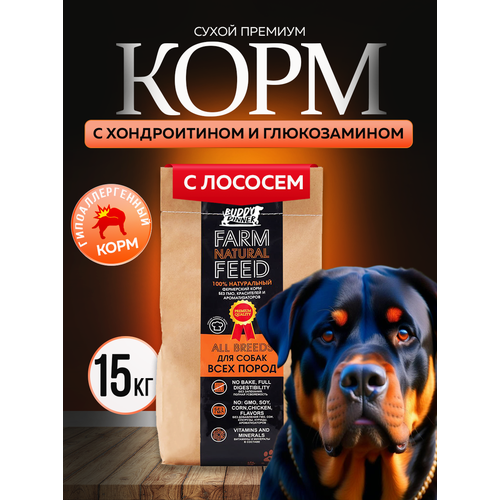 фото Сухой корм для собак крупных и средних пород buddy dinner orange line гипоаллергенный с лососем 15 кг