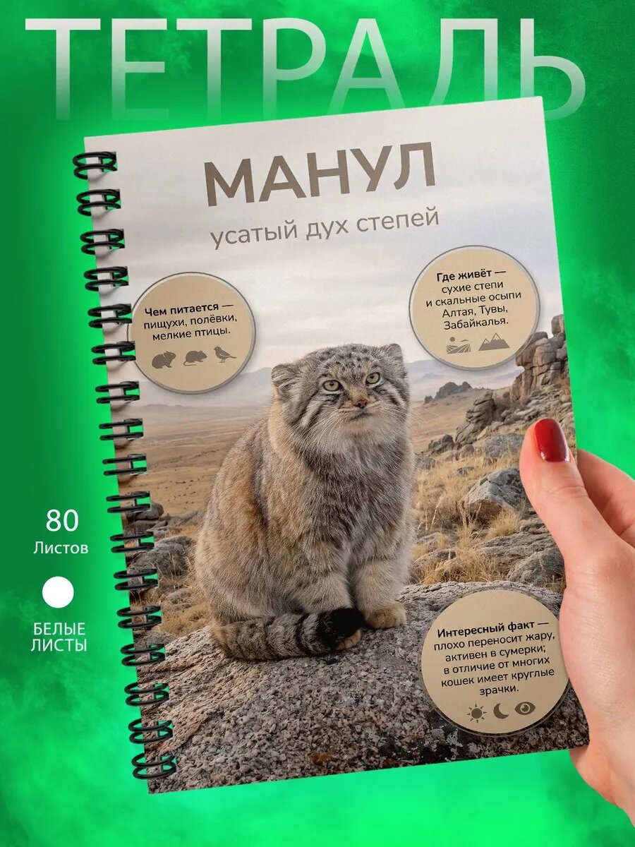 Тетрадь А5 - Животные России - Манул