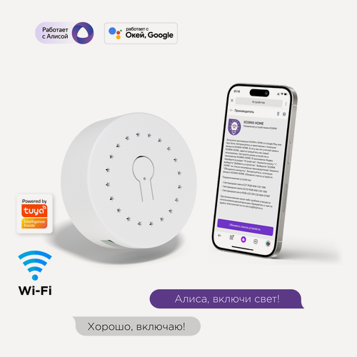 Изображение товара Умное реле с Wi-Fi + 433МГц, мониторинг потребления, Яндекс Алисой, Google Home, Wireless Relay 16A