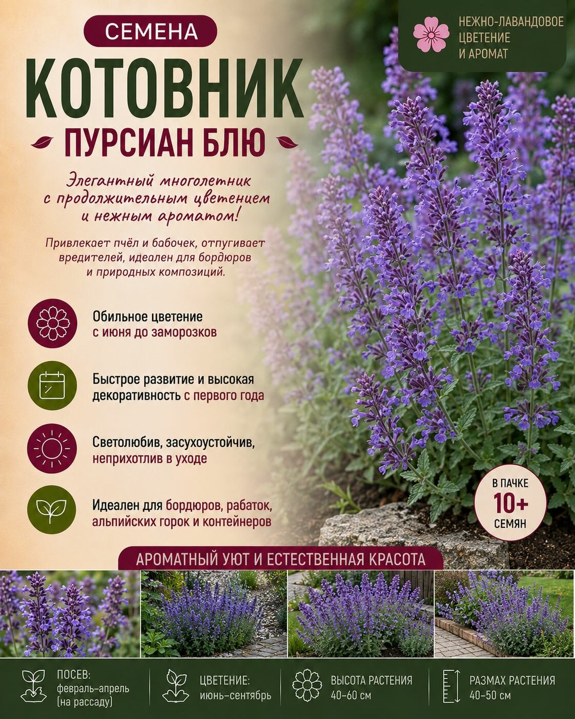 Котовник Пурсиан Блю семена