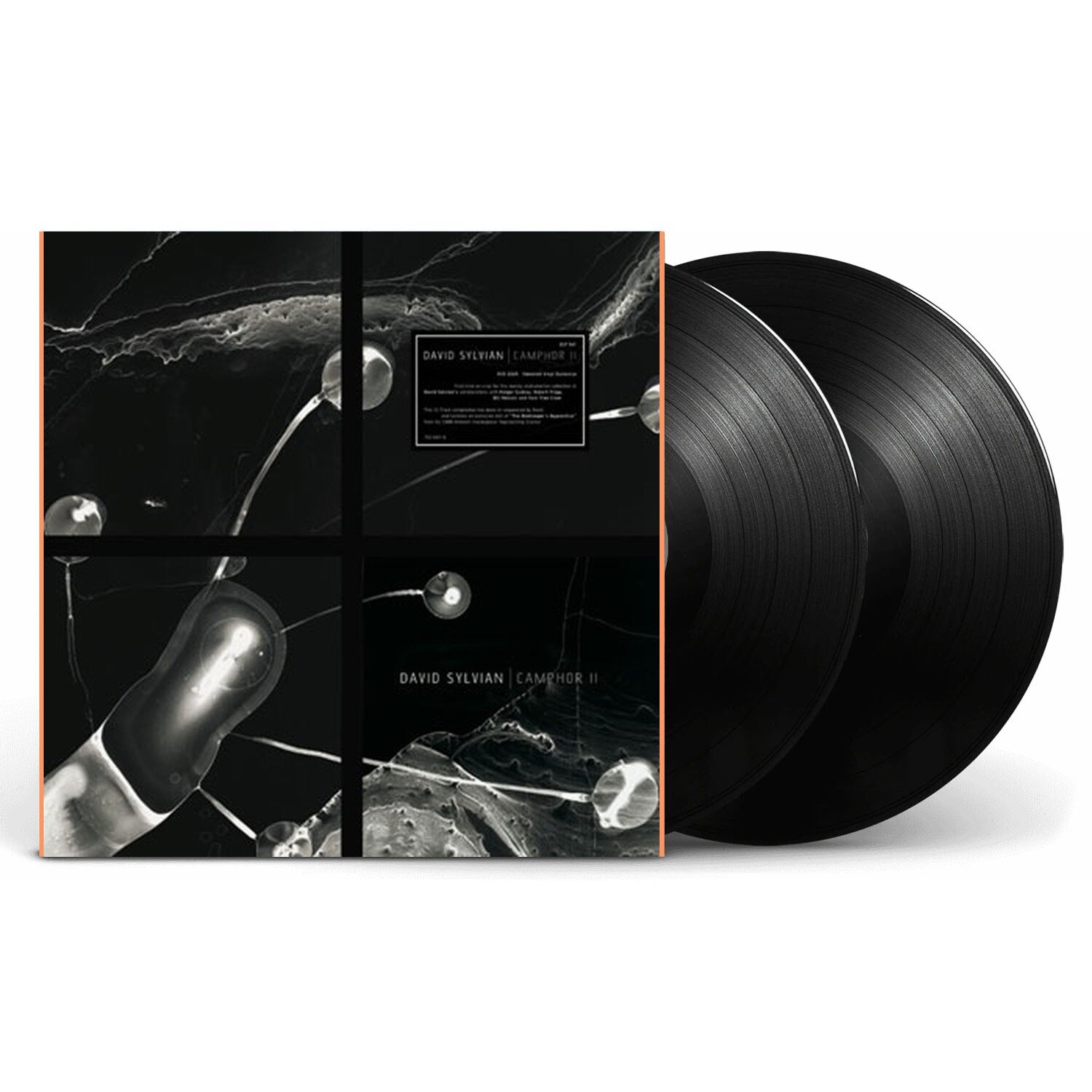 Виниловая пластинка David Sylvian - Camphor II (Vinyl, LP, Record Store Day, 2025)