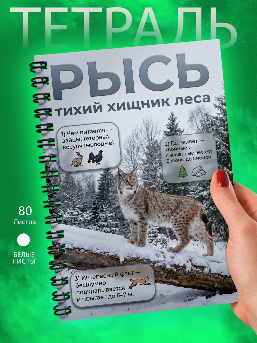 Тетрадь - Скетчбук А5 - Животные России - Рысь