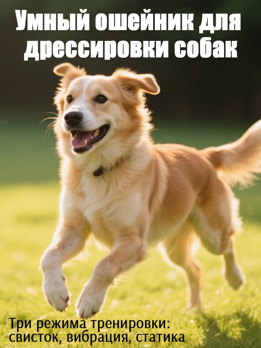 Ошейник Против Лая и Воя для Собак, управление с пульта