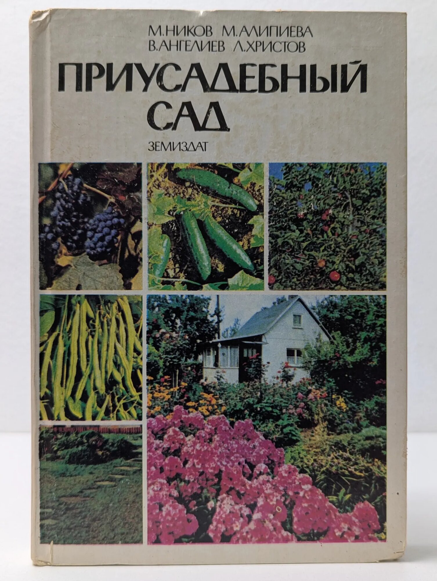 Приусадебный сад Ангелиев Васил, Христов Лулчо, Ников Митко Маринов, Алипиева Минка 1987