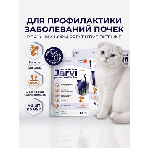 фото Влажный корм jarvi preventive diet line renal для кошек для поддержания функции почек и профилактики почечной недостаточности с говядиной (кусочки в с