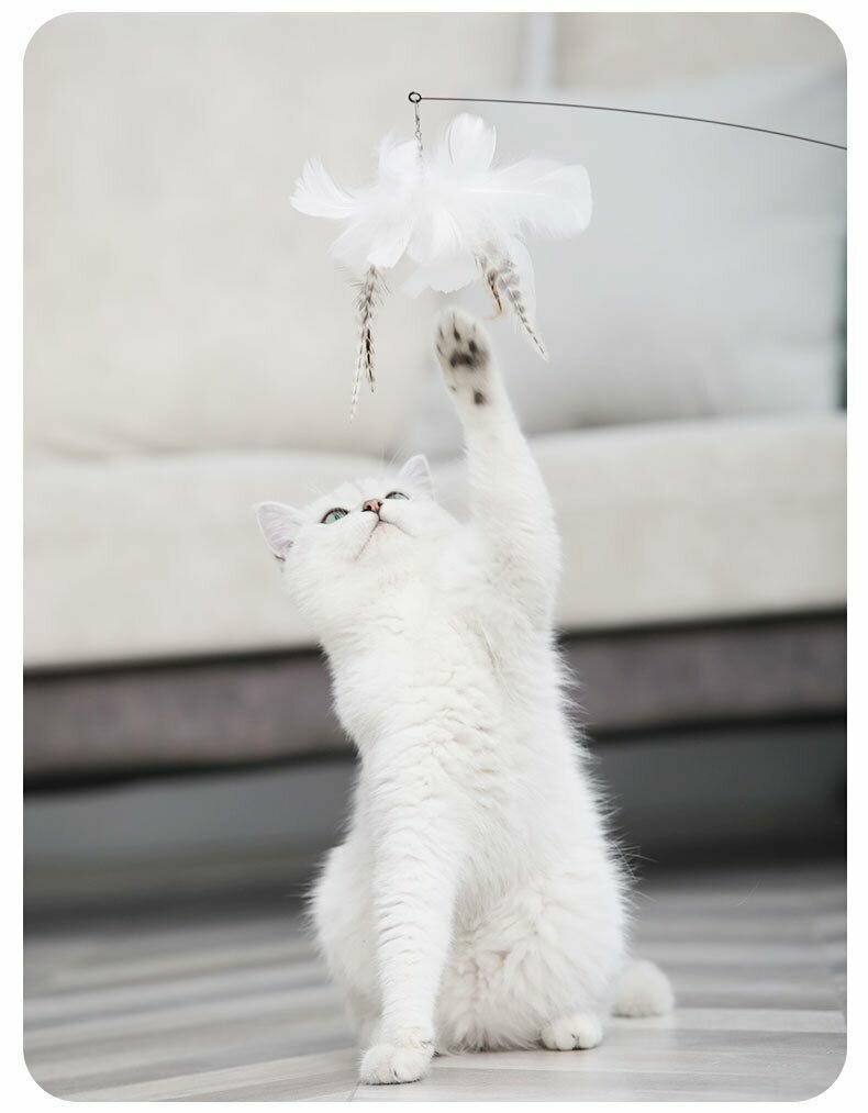 Игрушка для кошек удочка-дразнилка на присоске с насадкой-перья - фотография № 8