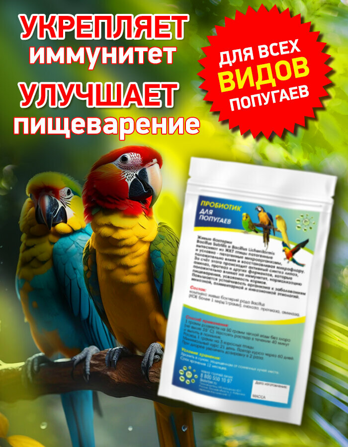 Пробиотик для попугаев