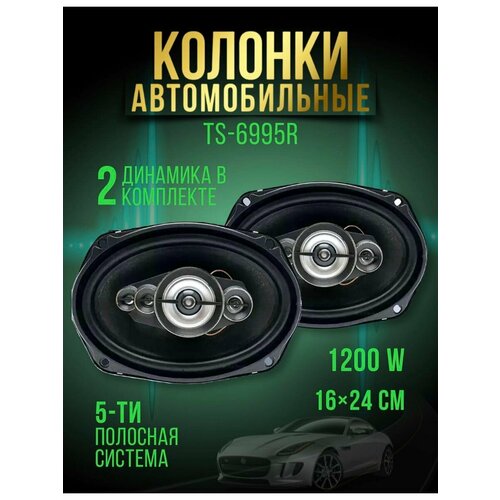 Автомобильная колонка Pioneer TS-6995R 2473₽