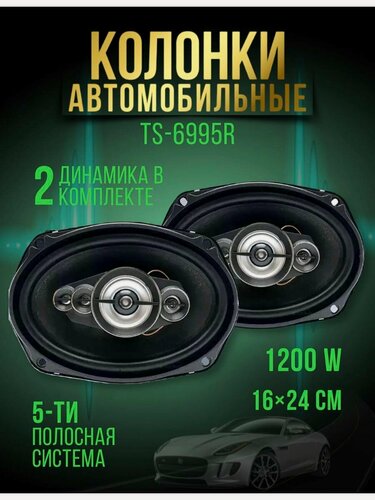 Изображение товара Автомобильная колонка Pioneer TS-6995R