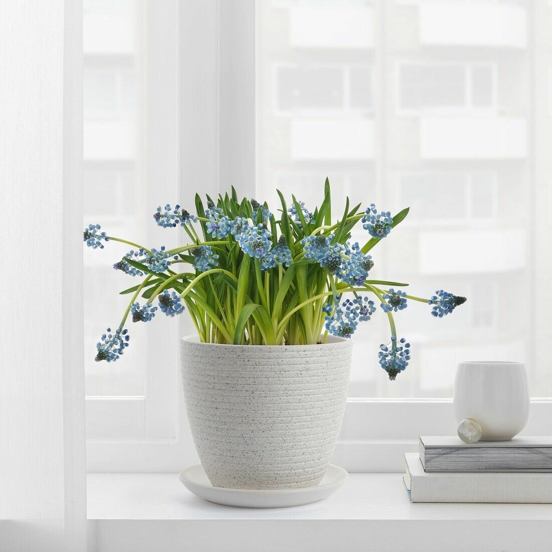 Горшок цветочный 15 см белый IKEA SKAKIG скакиг