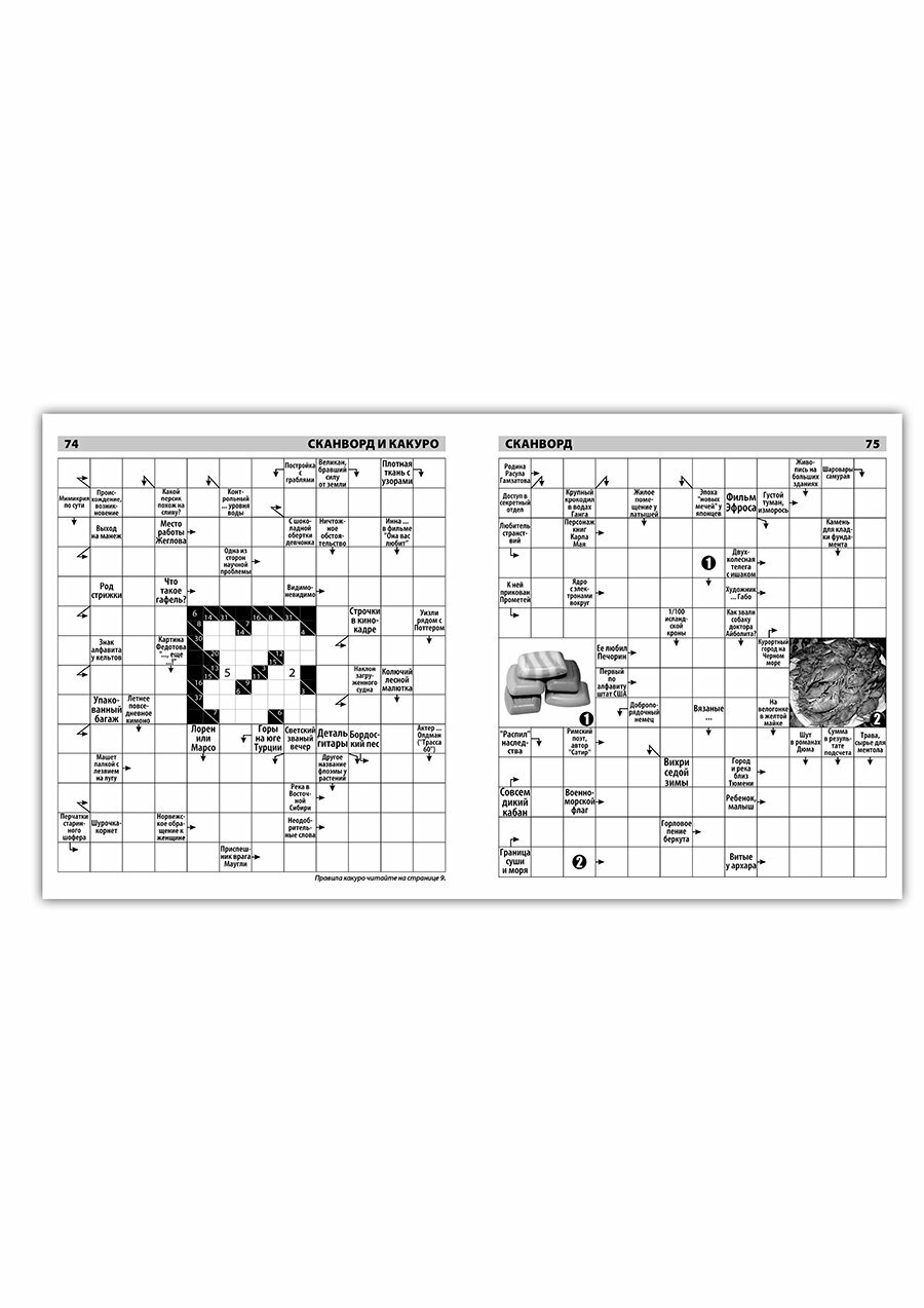 Сканворды — фото 1