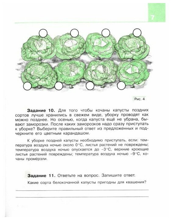 Технология. Сельскохозяйственный труд. 8 класс. Рабочая тетрадь. Адаптированные программы. ОВЗ - фото №2