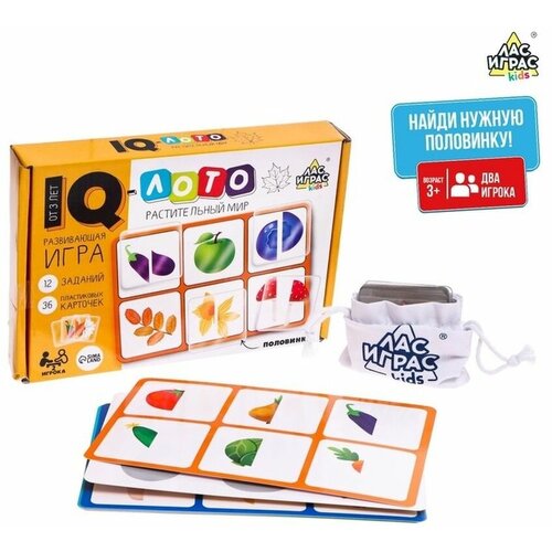 Игра IQ-лото 