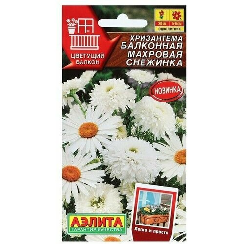Семена Цветов Хризантема балконная Махровая снежинка, 0,2 г 6 упаковок