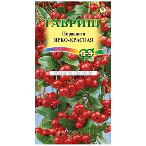 Семена Гавриш Пираканта ярко-красная 5 шт., 10 уп. пираканта ярко красная