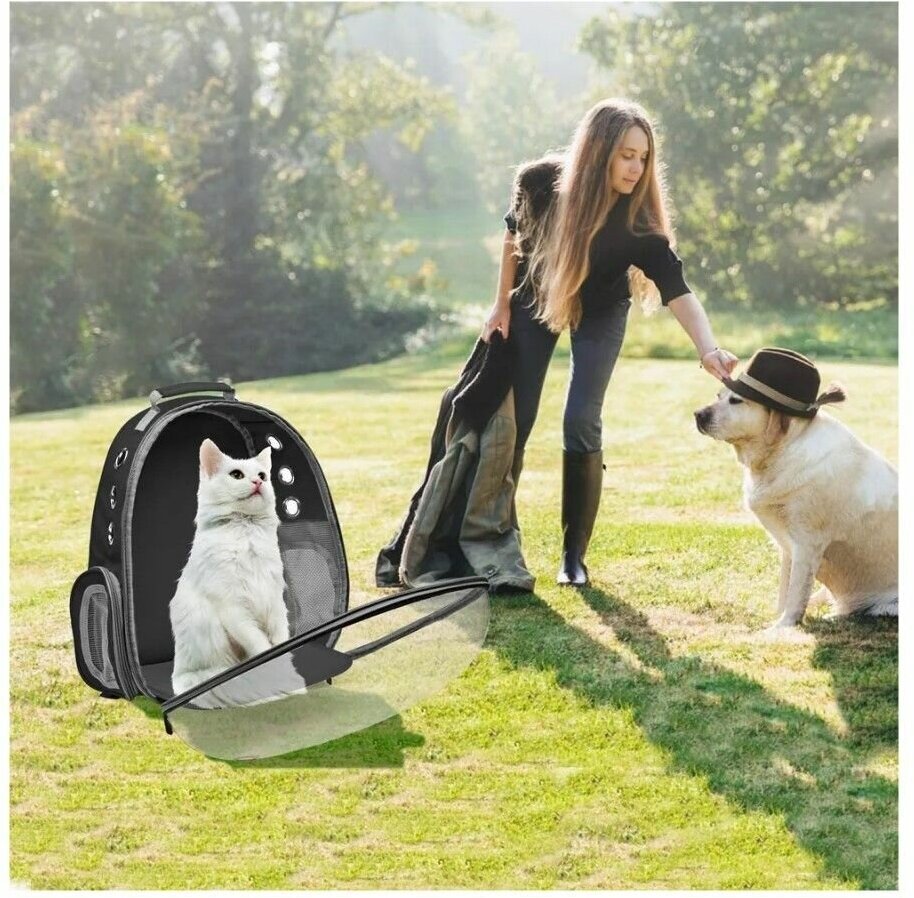 Рюкзак переноска для собак и кошек с иллюминатором / Ранец для животных с панорамным видом Morento черный - фотография № 2