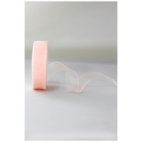 Лента органза 25 мм