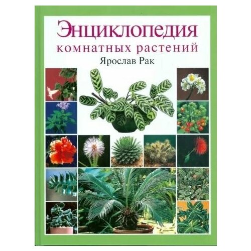 Энциклопедия комнатных растений энциклопедия комнатных и садовых растений