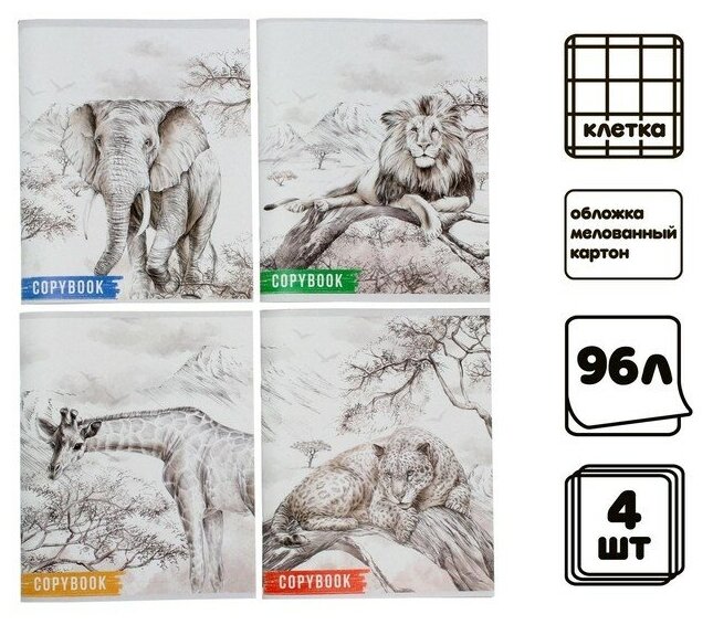 Calligrata Комплект тетрадей из 4 штук, 96 листов в клетку Calligrata "Африка", обложка мелованный картон, блок №2, белизна 75% (серые листы)