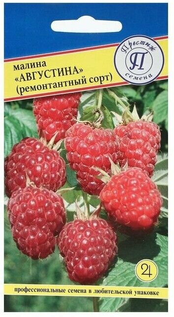 Малина ремонтантная августина 2 пакета семена 10 шт Престиж