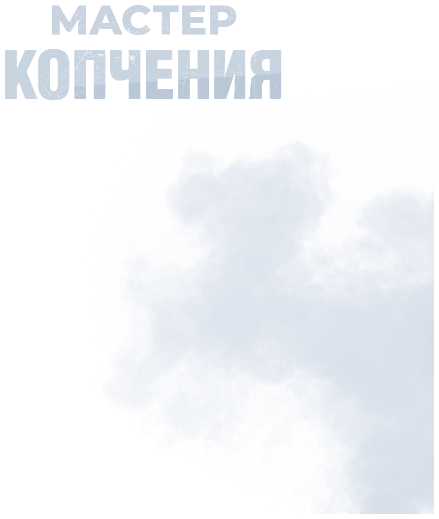 Мастер копчения. Семь шагов к мастерству в мире копченостей плюс 100 бесподобных рецептов (оф. копченая рулька) - фото №10