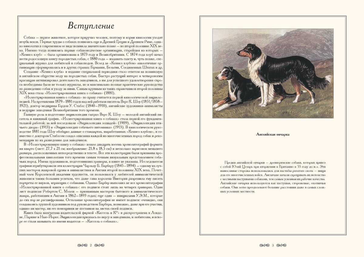 Иллюстрированная книга о собаках - фото №2