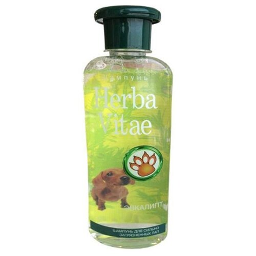 фото Шампунь herba vitae для сильно
