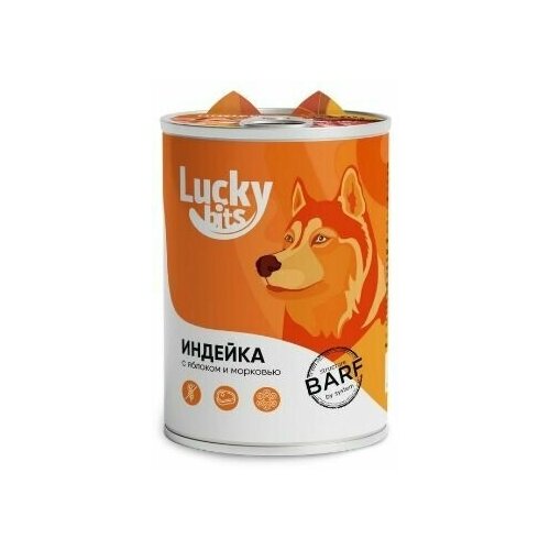 Полнорационный консервированный корм Lucky bits для собак всех пород с 6 месяцев с индейкой, яблоком и морковью, 400 г