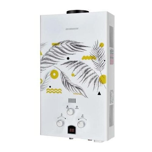 Водонагреватель газовый проточный EDISSON E 20 GD с изображением Каннская ветвь 926000₽